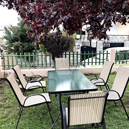 פסאקודיה Dimitra'S And Nasia'S Villa מראה חיצוני תמונה