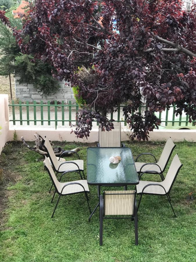 פסאקודיה Dimitra'S And Nasia'S Villa מראה חיצוני תמונה